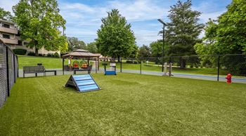 Dog park